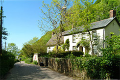 Bucks Mills