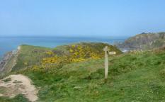 Above Hartland Quay, North Devon_0.jpg