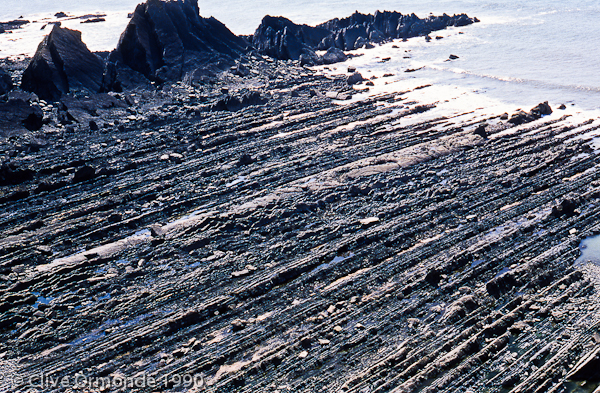 Long ribs of rock in the sand near Hartland Quay copyright Clive Ormonde