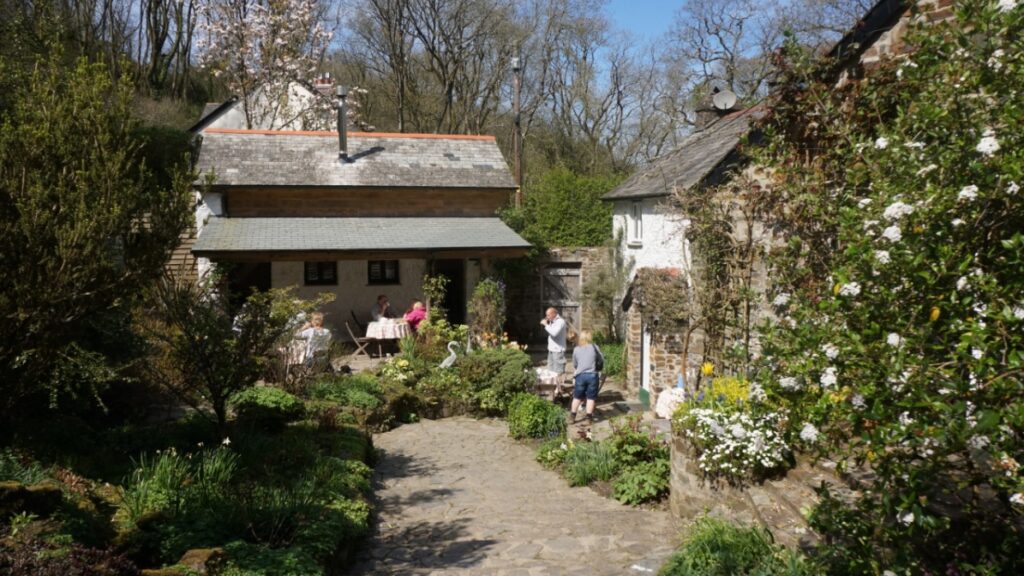 The tea terrace in spring at Docton Mill Gardens & Tea room, Hartland, North Devon