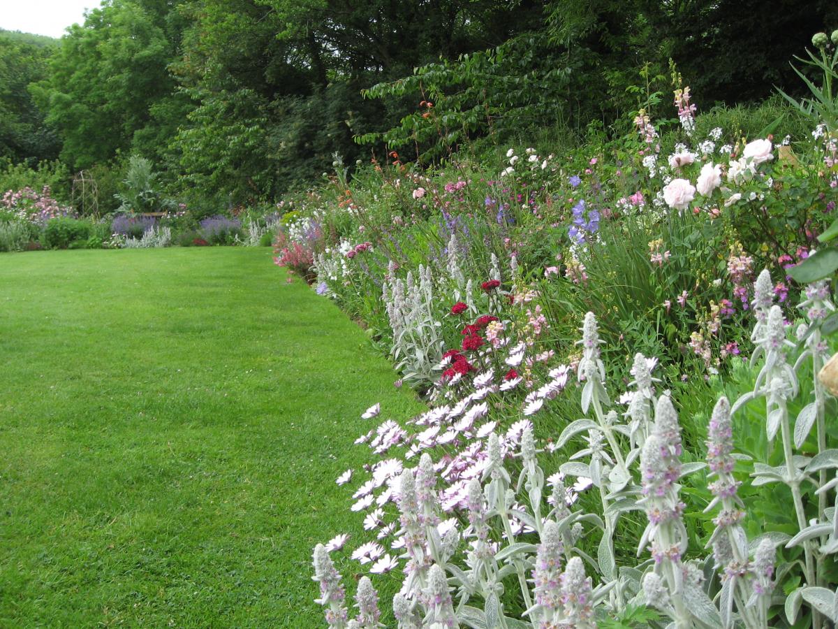 The herbaceous border at the award winning Docton Mill Gardens, Hartland, North Devon