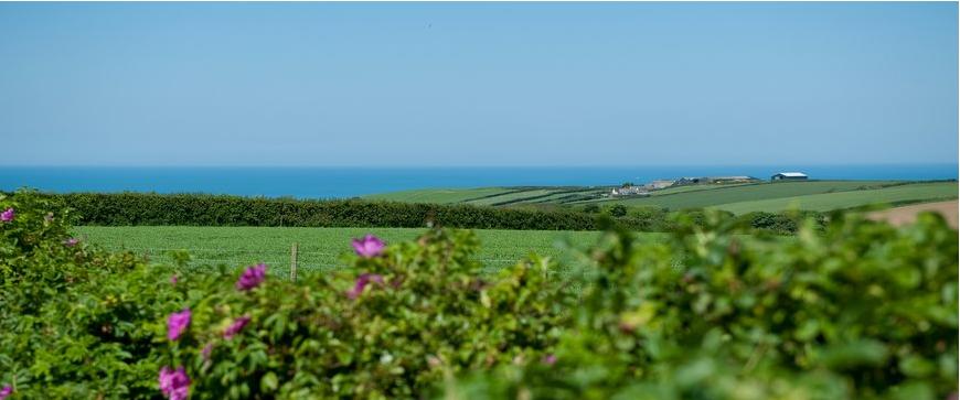 Views across rolling farmland to the sea at Downe Cottages luxury self catering cottages, Hartland, North Devon