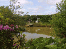 Onsite fishing lake at Hartland Caravan & Camping Park, Hartland, North Devon