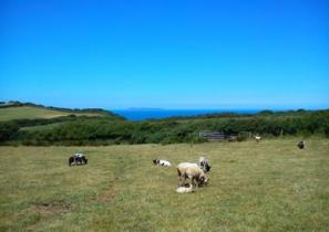 The farm and view of Lundy at East Titchberry Farm Cottage, Hartland