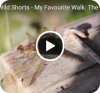 Wild Shorts - My favourite walk: the Spekes Valley