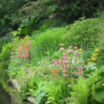 See Docton Mill Gardens and Tea Room