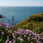 The Point at Hartland Point