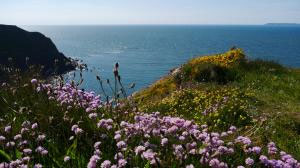 The Point at Hartland Point