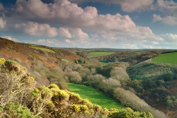 Speke's Valley