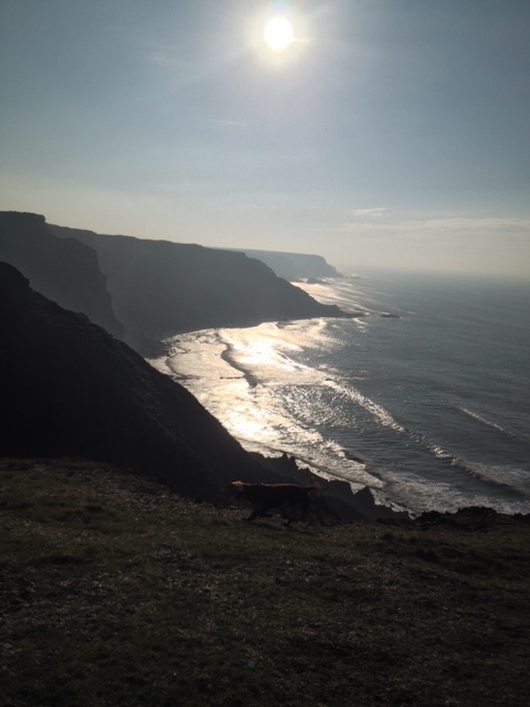 Winter sun on the Hartland Peninsula headlands