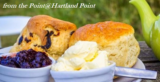 Delicious cream tea from The Point@Hartland Point, wonderful, extensive outdoor cafe on the SWCP coastpath