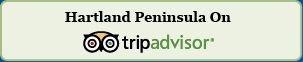 Trip Advisor